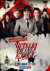 Черная кошка (сериал 2016) смотреть онлайн - LordFilm